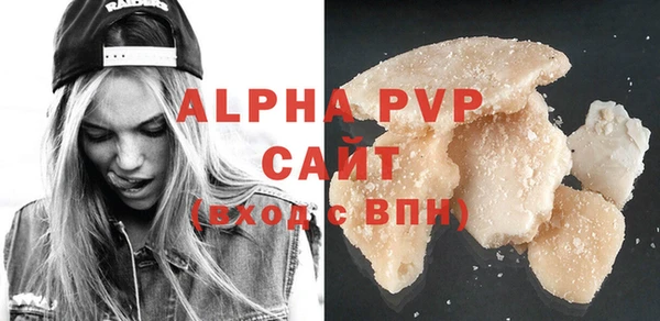 спиды Богородицк