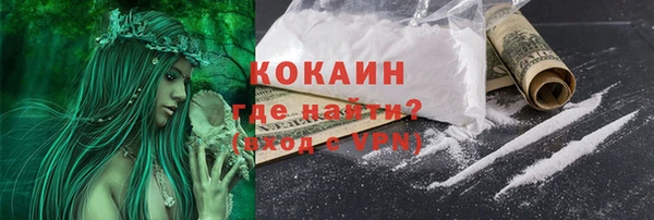 спиды Богородицк