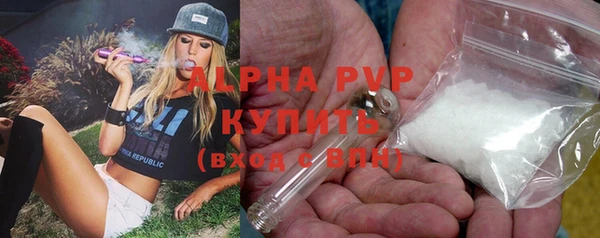 спиды Богородицк
