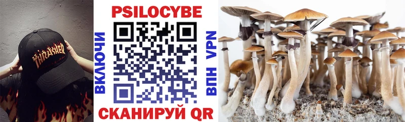 Псилоцибиновые грибы ЛСД  Новоузенск 