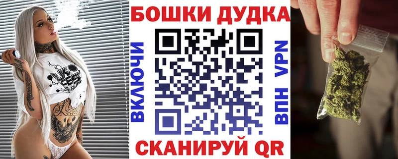 Каннабис семена  купить закладку  Новоузенск 